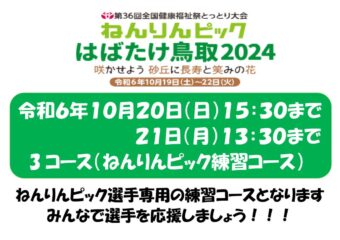 ねんりんピック専用案内のサムネイル